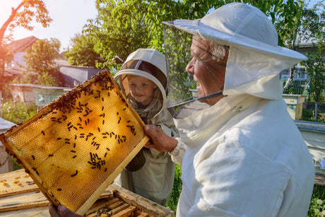Urban Beekeeping Spring Class May 18, 2019